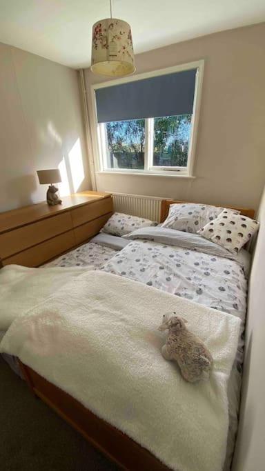 Cheerful 3 Bedroom Bungalow With Indoor Fire Place Gloucester Exteriér fotografie